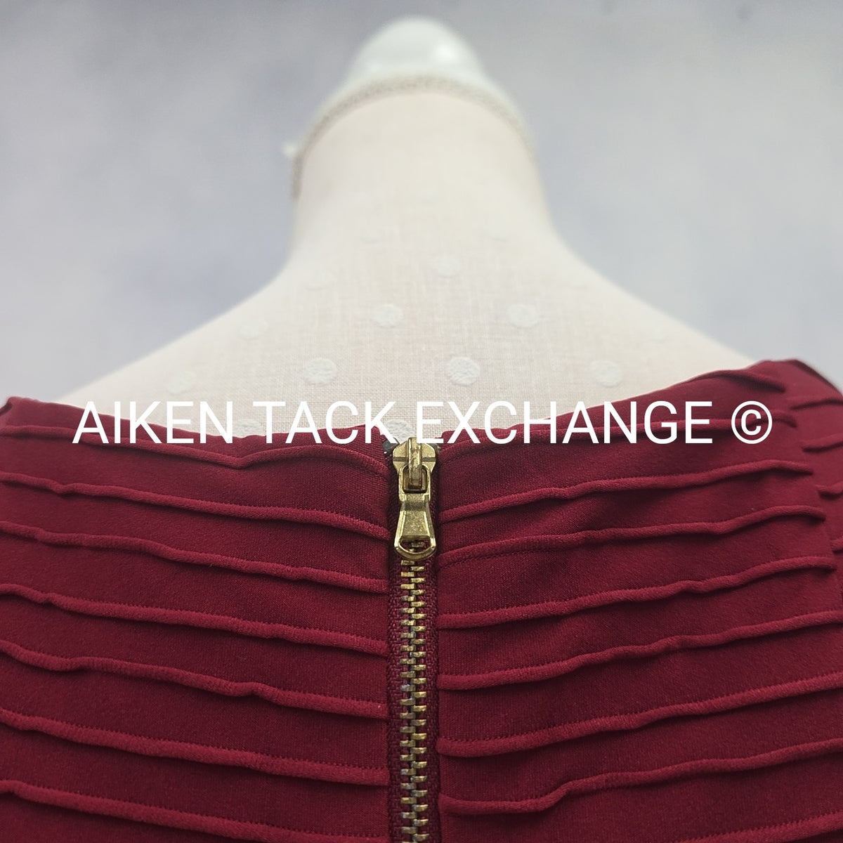Julian Taylor Dress, Size 10