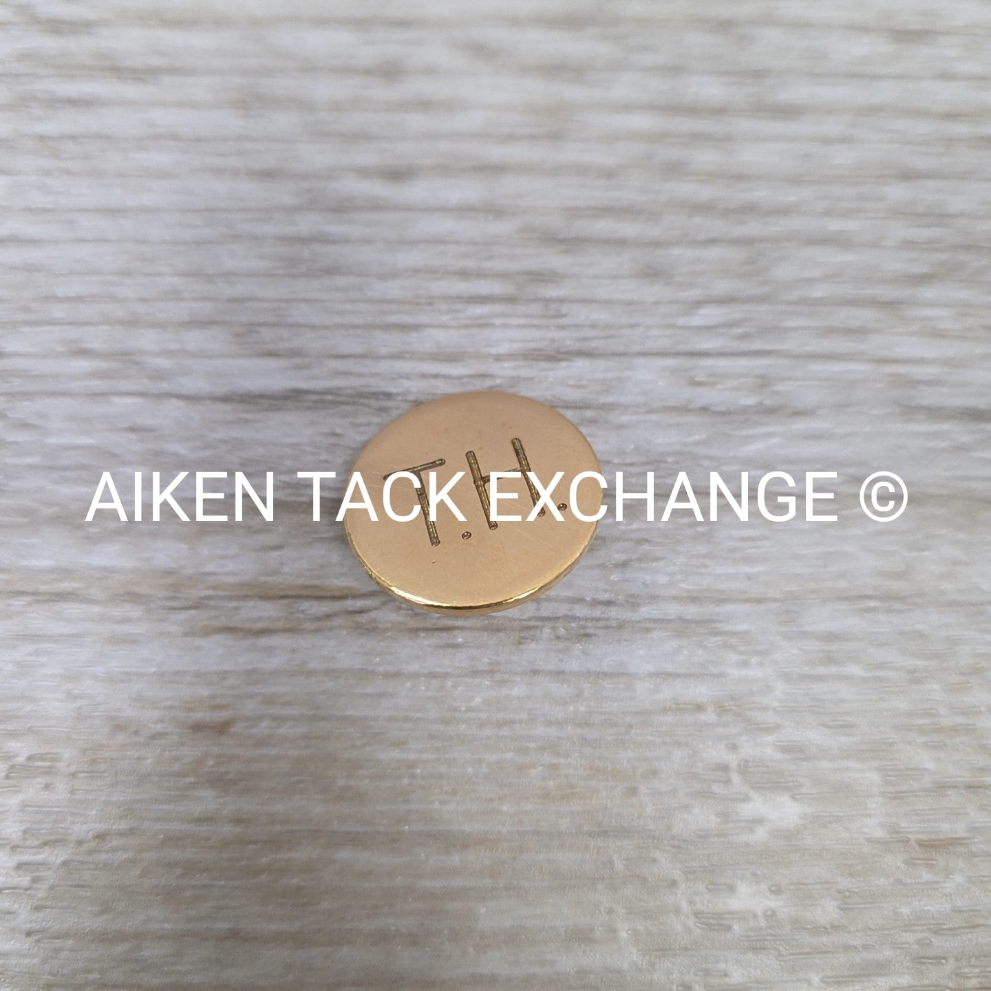 Tryon Hounds Brass Button, Large