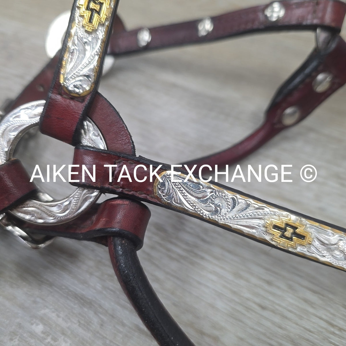 Western Show Halter, Size Foal