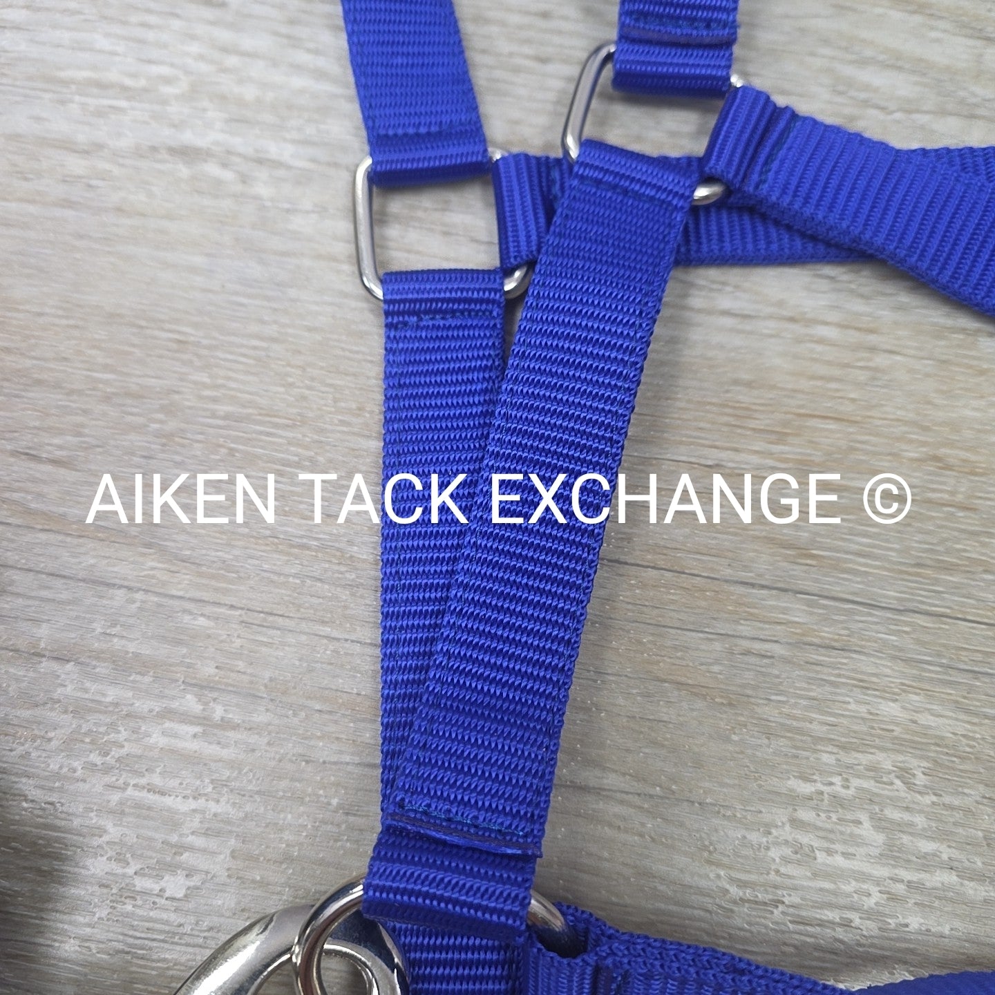 TuffRider Breakaway Nylon Halter & Lead Rope Set, Blue, Size Full