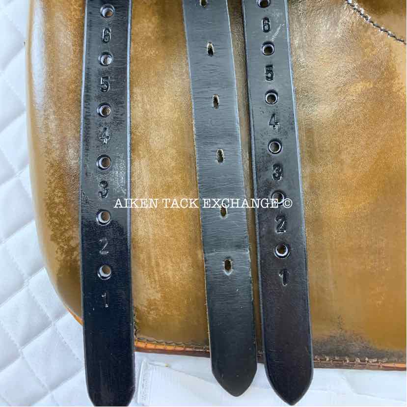 **SOLD** Stubben Siegfried Extra All Purpose Jump Saddle, 19" Seat, 31 cm Tree - Medium Wide/Wide, Wool Flocked Panels
