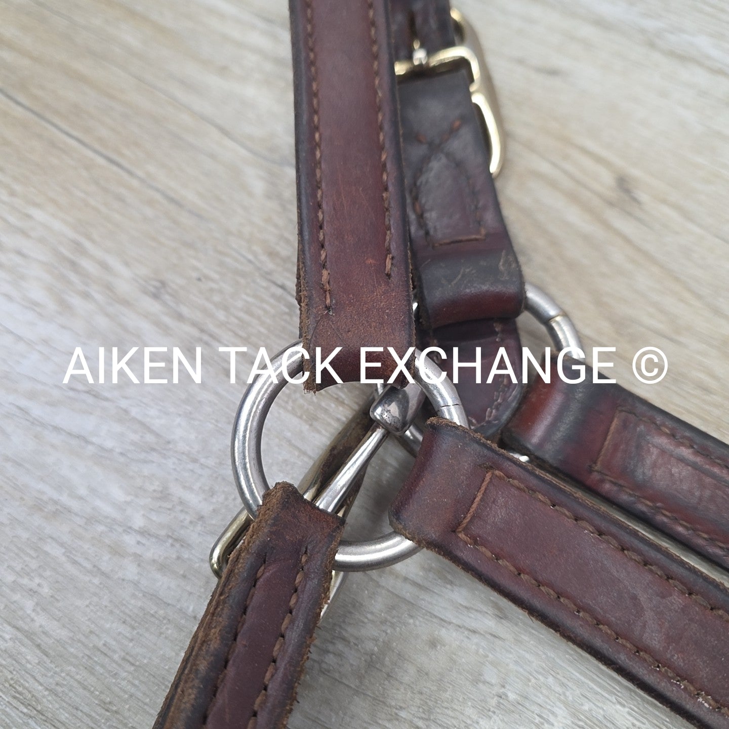 Perri's Leather Halter, Brown, Size Full