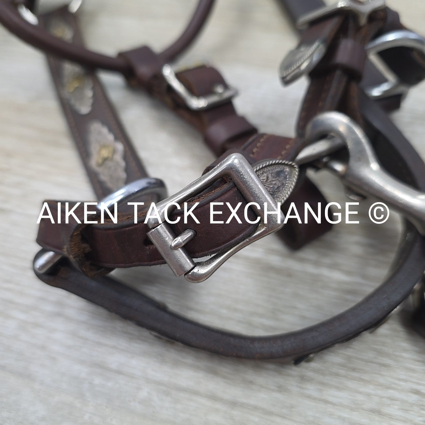 Victor Quality Westen Show Halter with Lead
