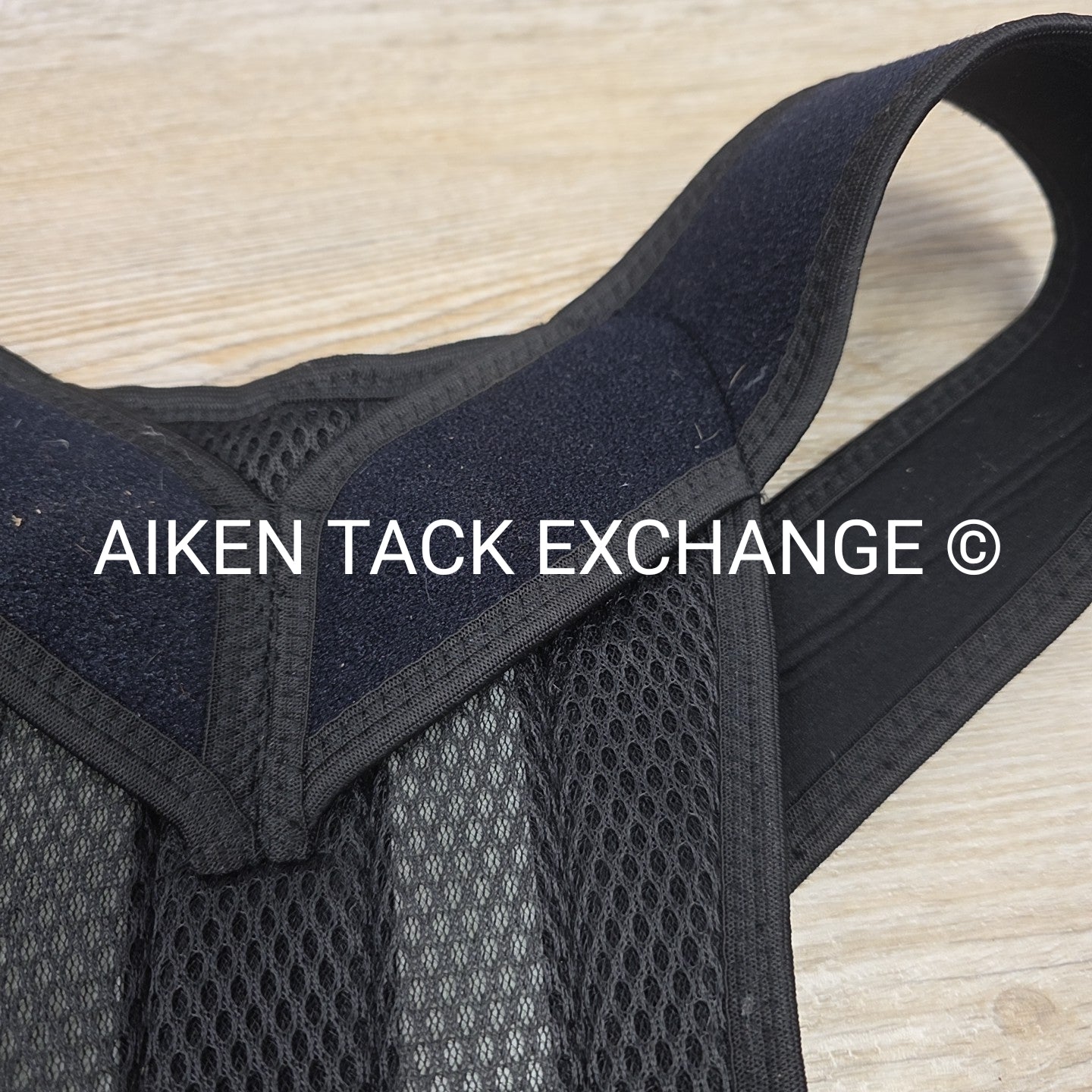Equestorian Back Brace, Size Large