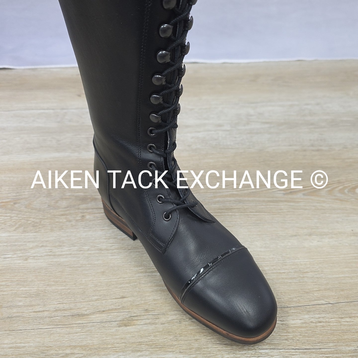 Celeris Bia Dressage Boots, Size 39 H 49 W 41-42.5