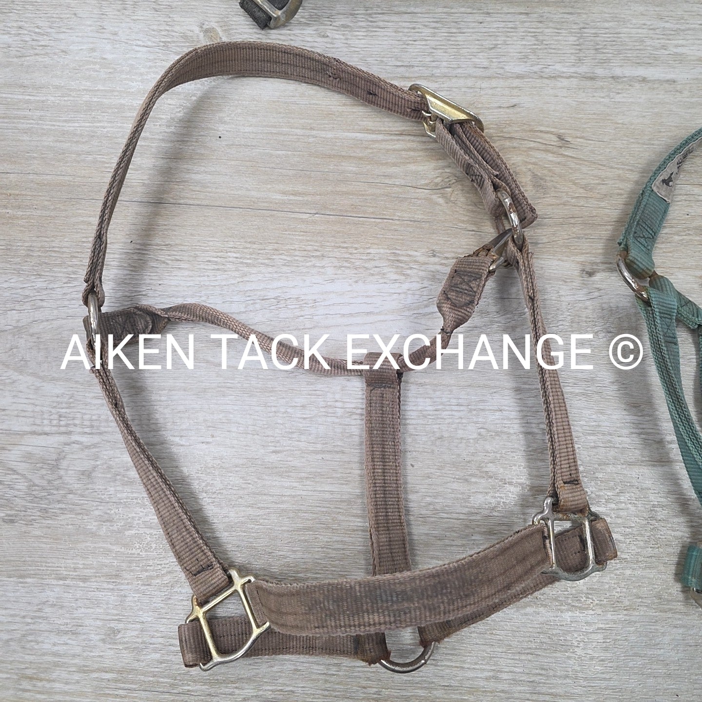 BARGAIN BUNDLE: 4 Weaver Leather Nylon Halters, Size Horse