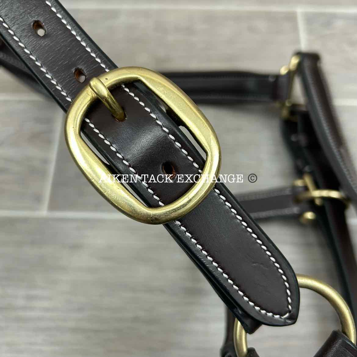 KL Select Black Oak Willow Padded Leather Halter, Brown/Brass, Size Pony