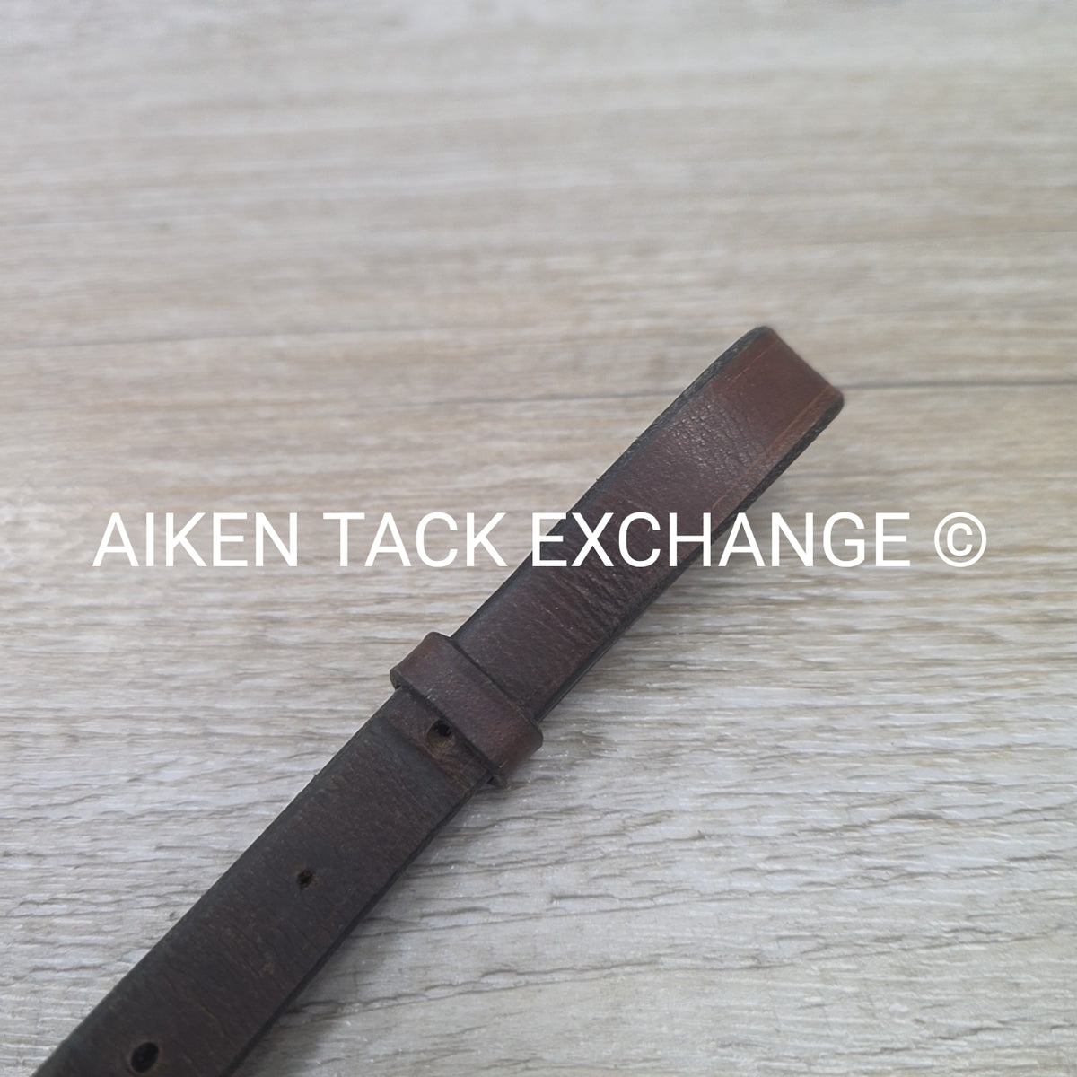 Beval Plain Raised Standing Martingale, Brown, Size Full