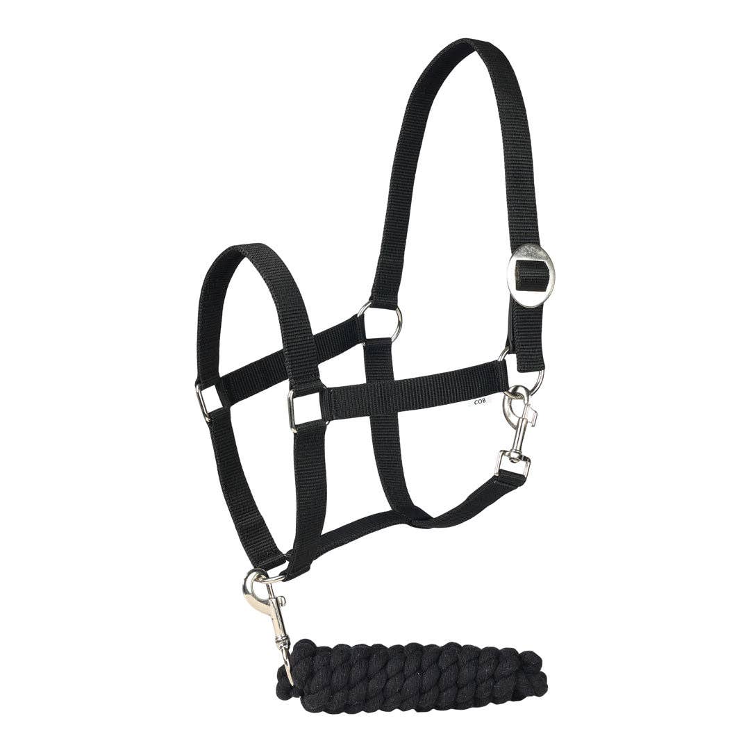 TuffRider Halter And Lead Rope Set With Breakaway Leather: Burgundy / Cob