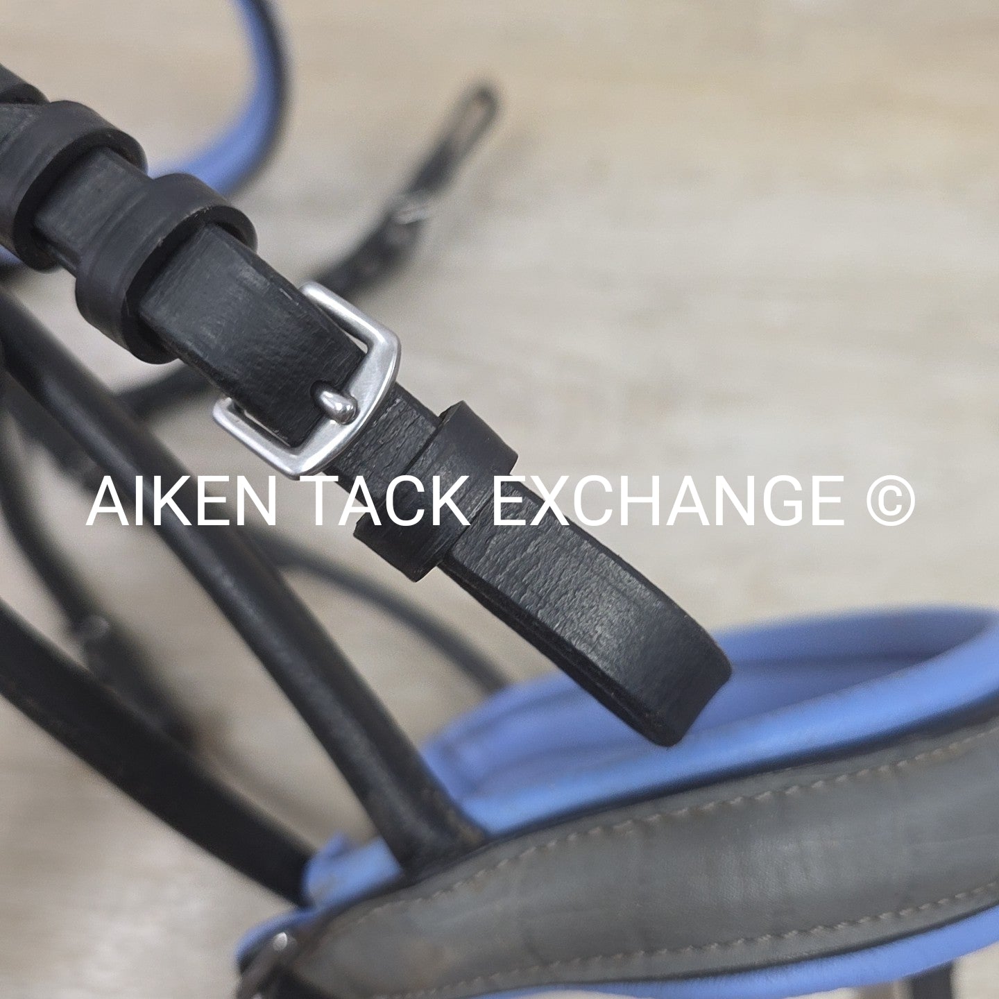 Halter Ego Rolled Dressage Bridle, No Reins, Size Cob