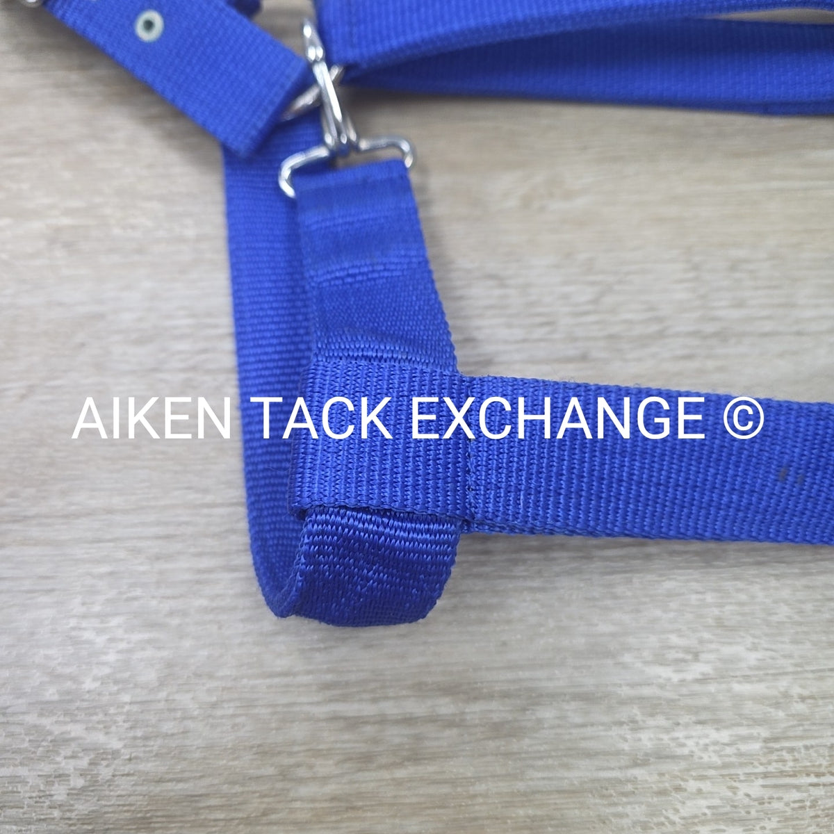 Nylon Halter, Draft
