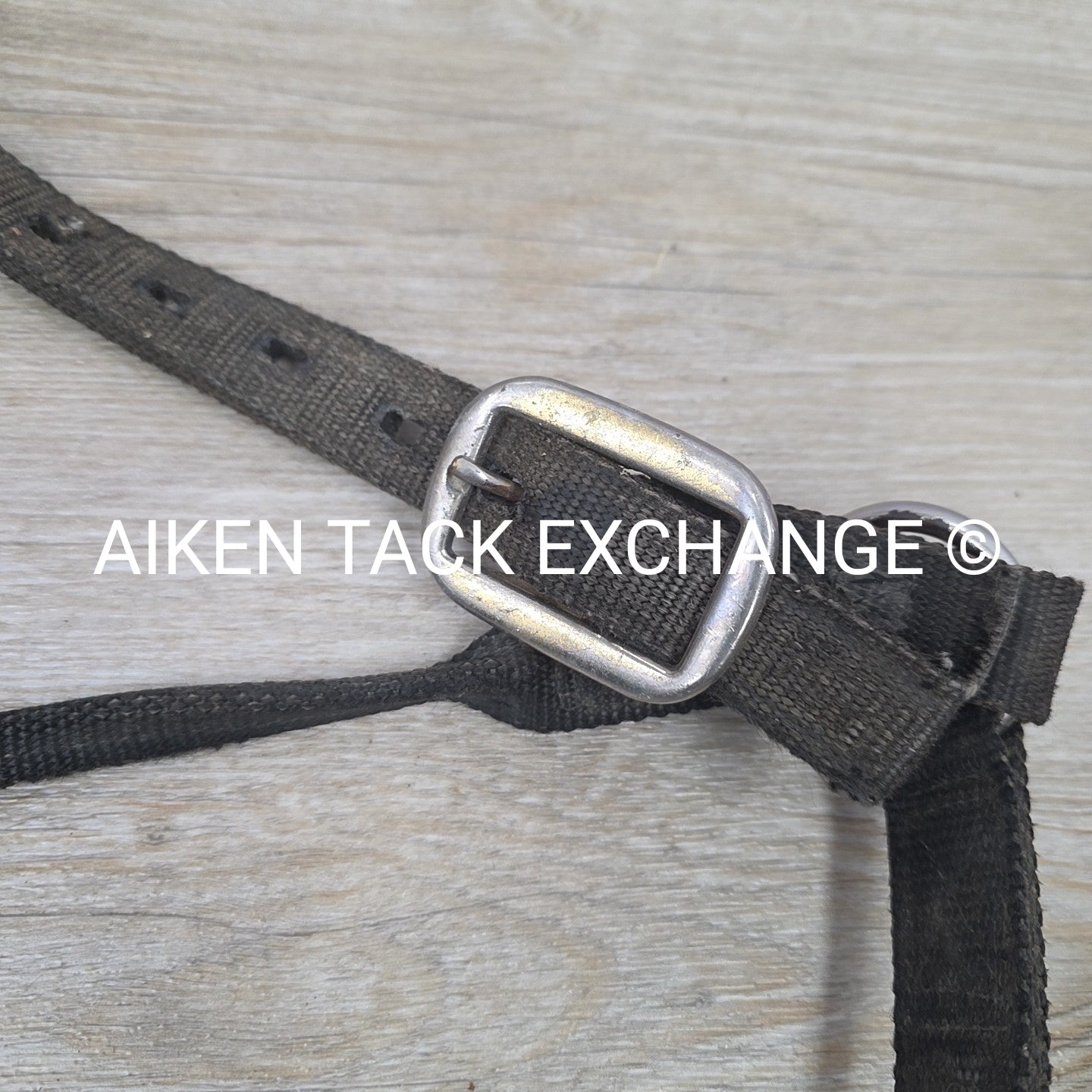 BARGAIN BUNDLE: 4 Weaver Leather Nylon Halters, Size Horse