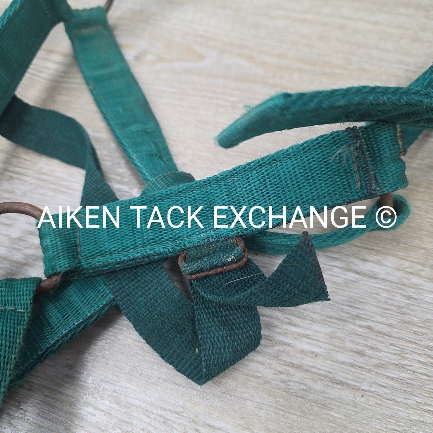 BARGAIN BUNDLE 5 Weaver Leather Nylon Halters, Size Horse