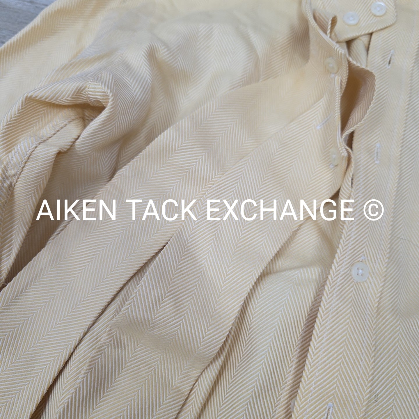 Tailored Sportsman Long Sleeve Show Shirt, Size 6