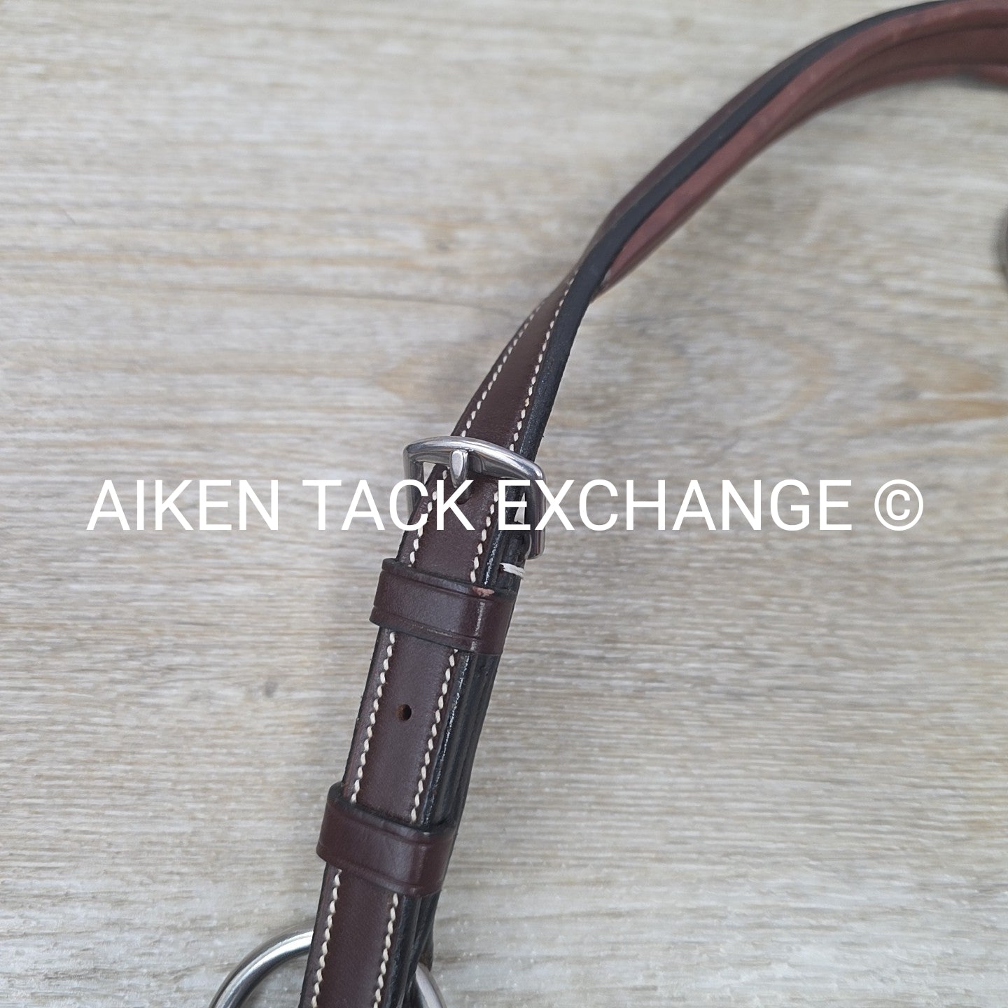 Fancy Stitched 5 Point Breastplate with Running Martingale Attachment, Brown, Si