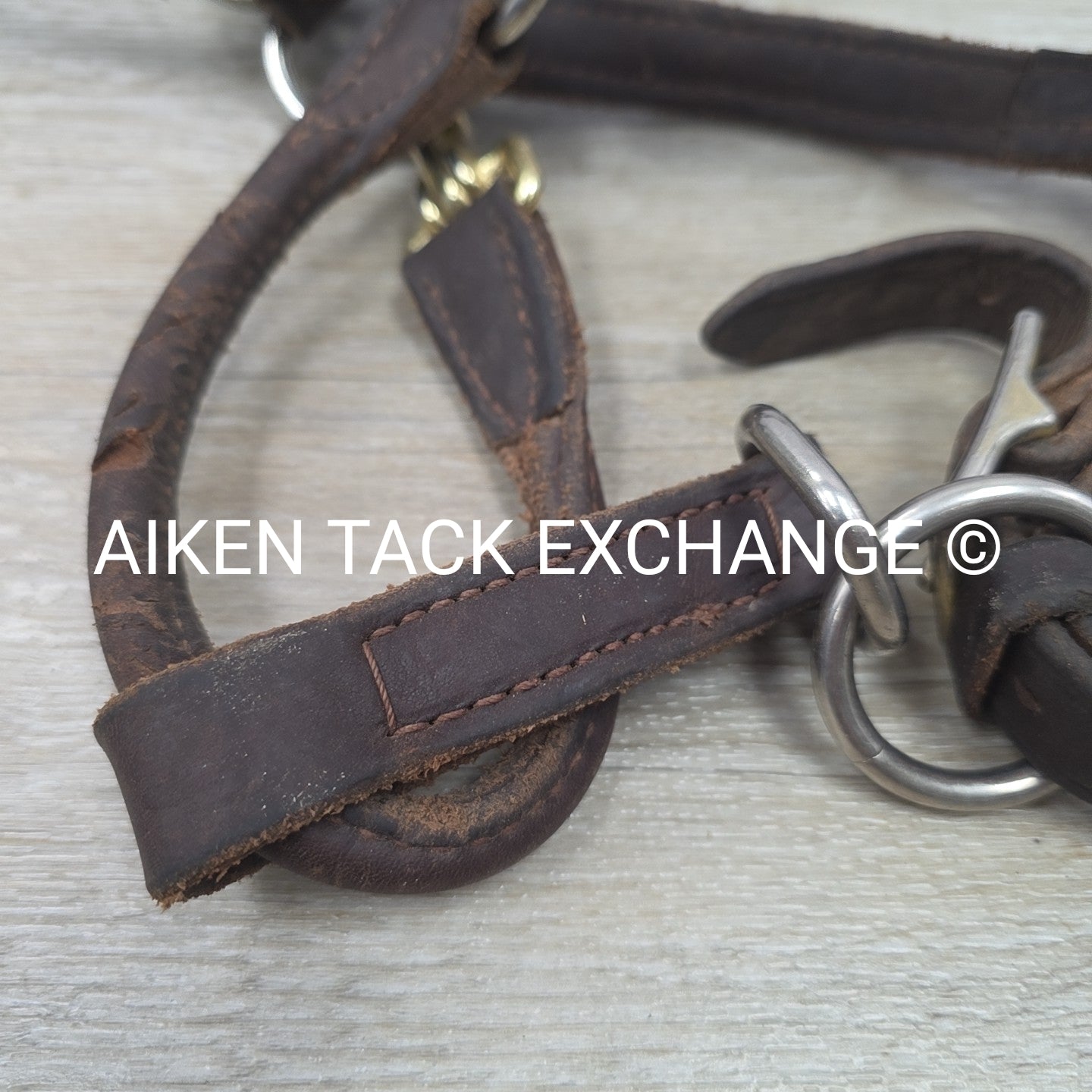 BARGAIN BUNDLE: Leather Halter & Nylon Halter, Size Full
