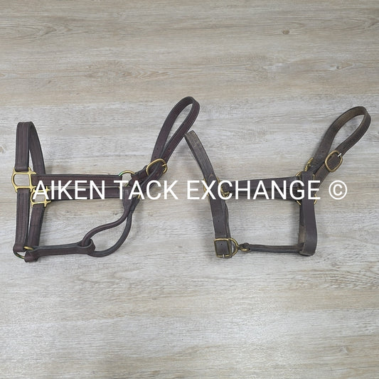 BARGAIN BUNDLE: 2 Leather Halters, Brown, Size Full