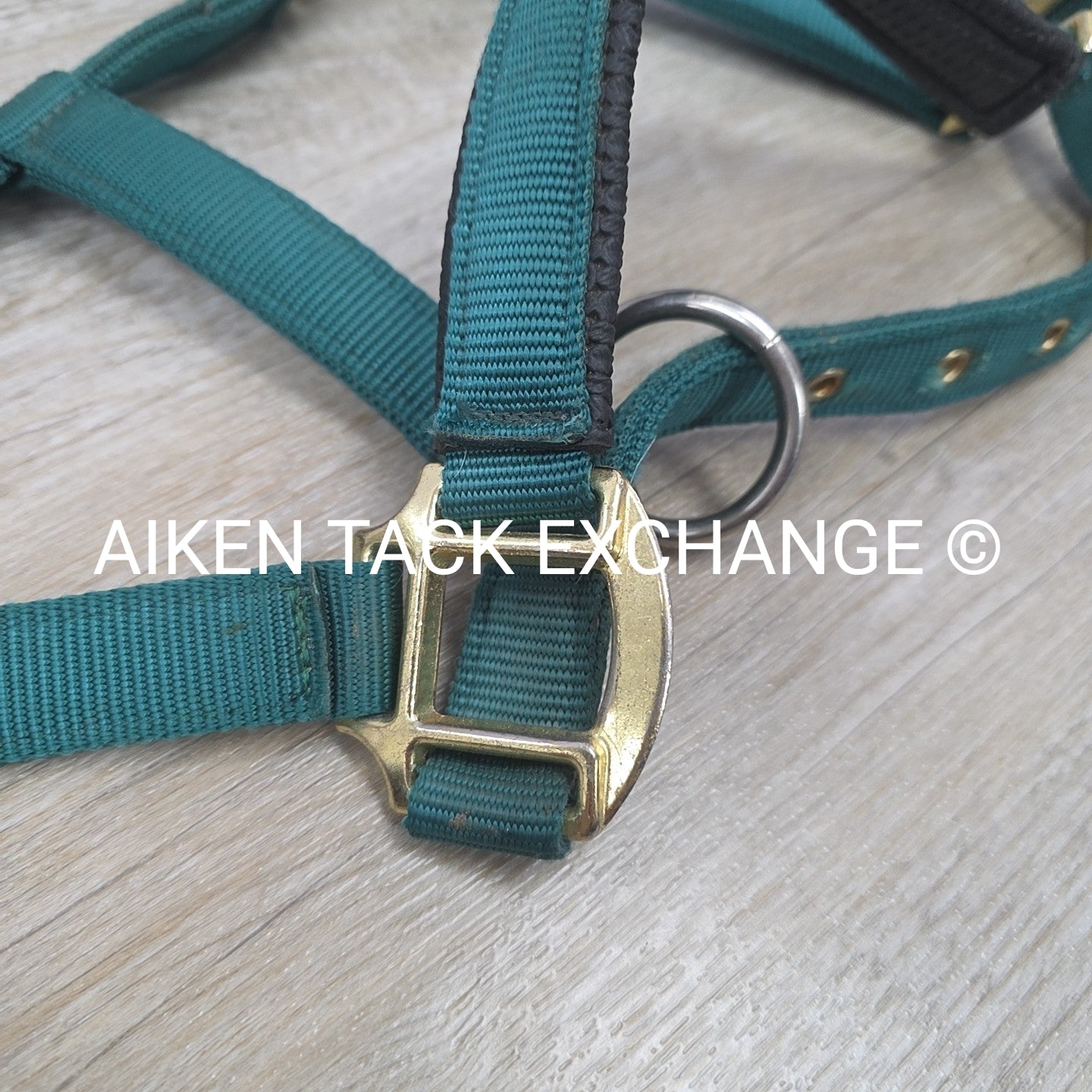 Hy Padded Nylon Halter, Size Full