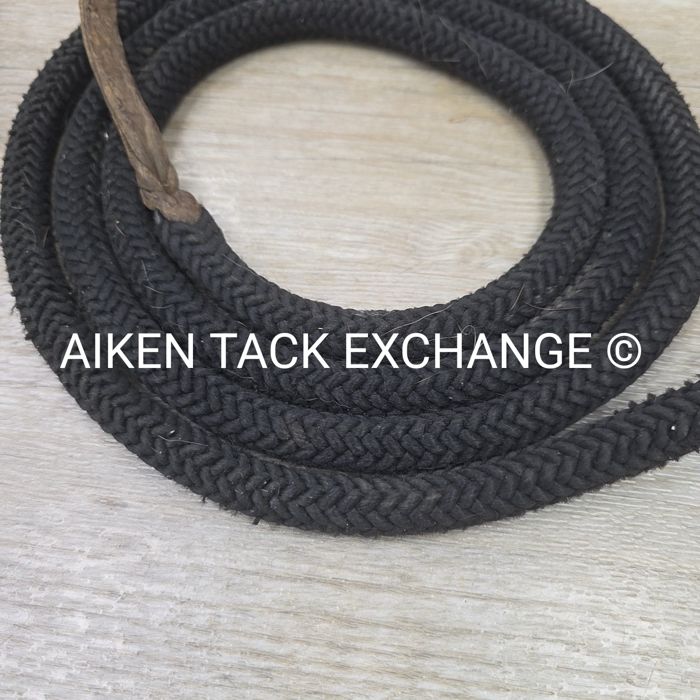 BARGAIN BUNDLE: 3 Rope Halters, 1 with Lead