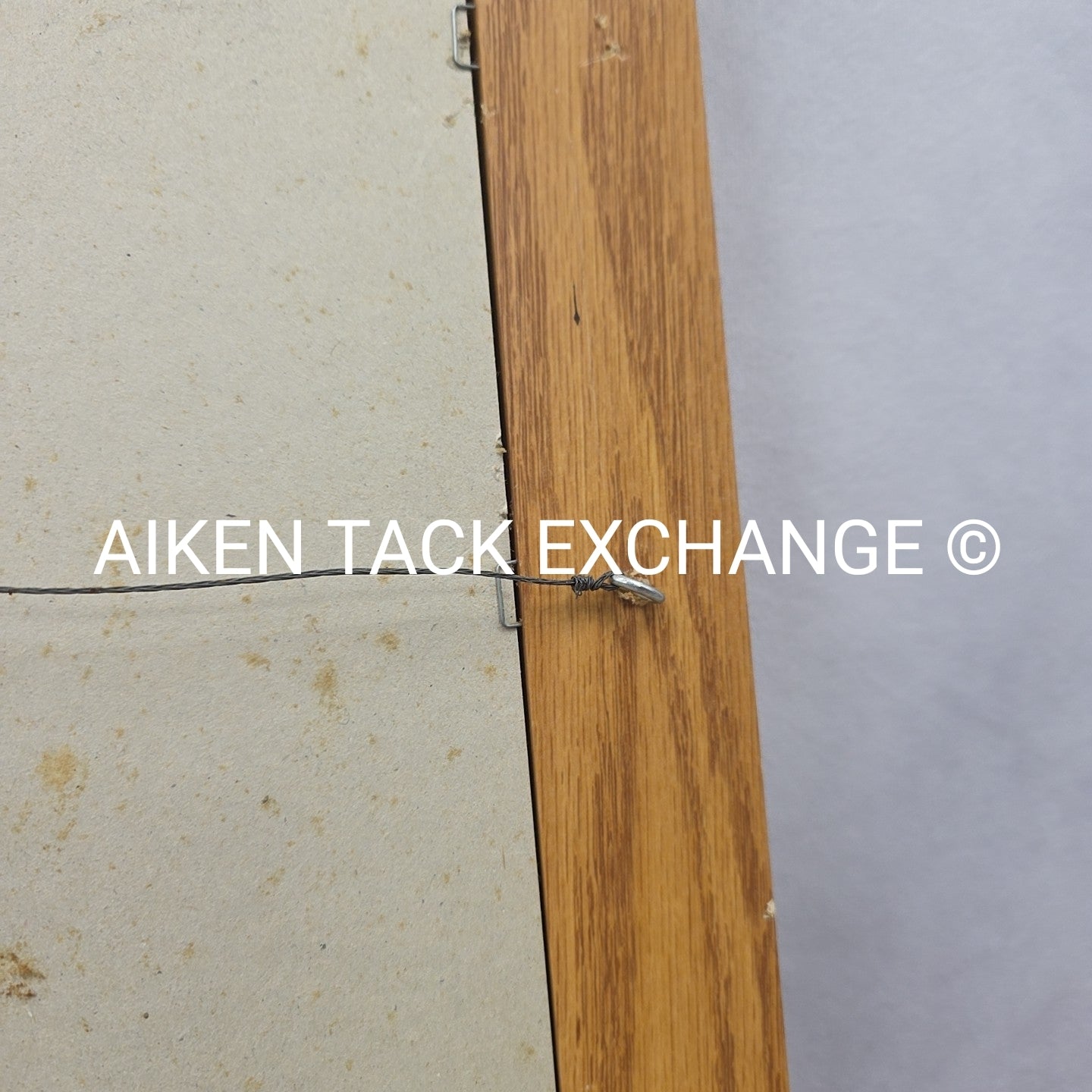 Fox Artwork, 19" x 23.5"