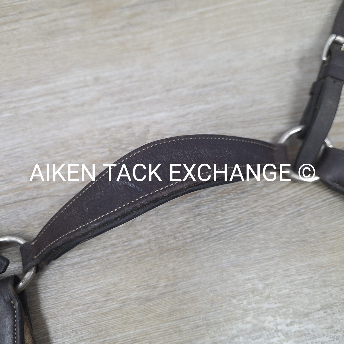 5 Point Breastplate, Brown, Size Full