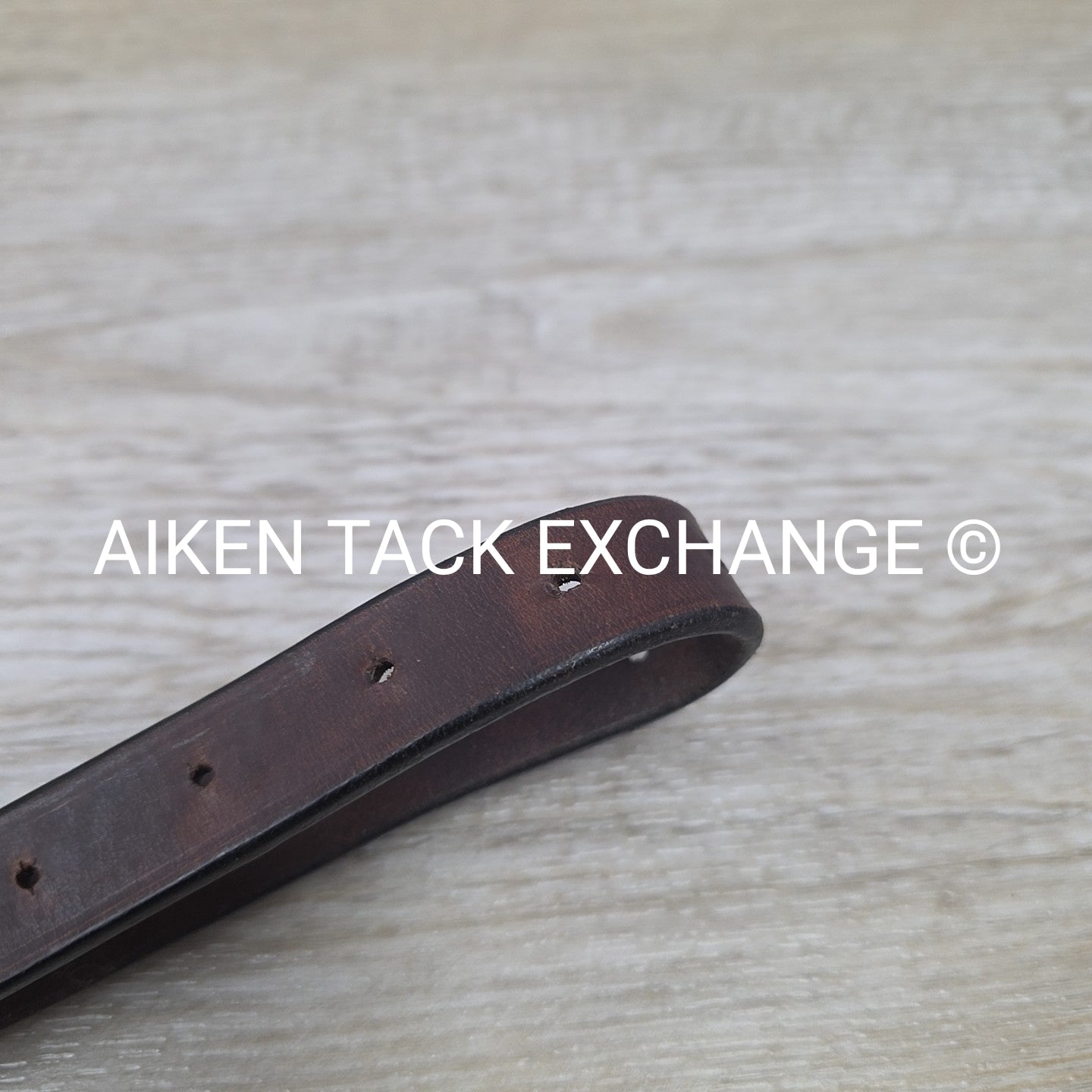 Hadfield Bridleworks Flat Standing Martingale, Size Extra Oversize