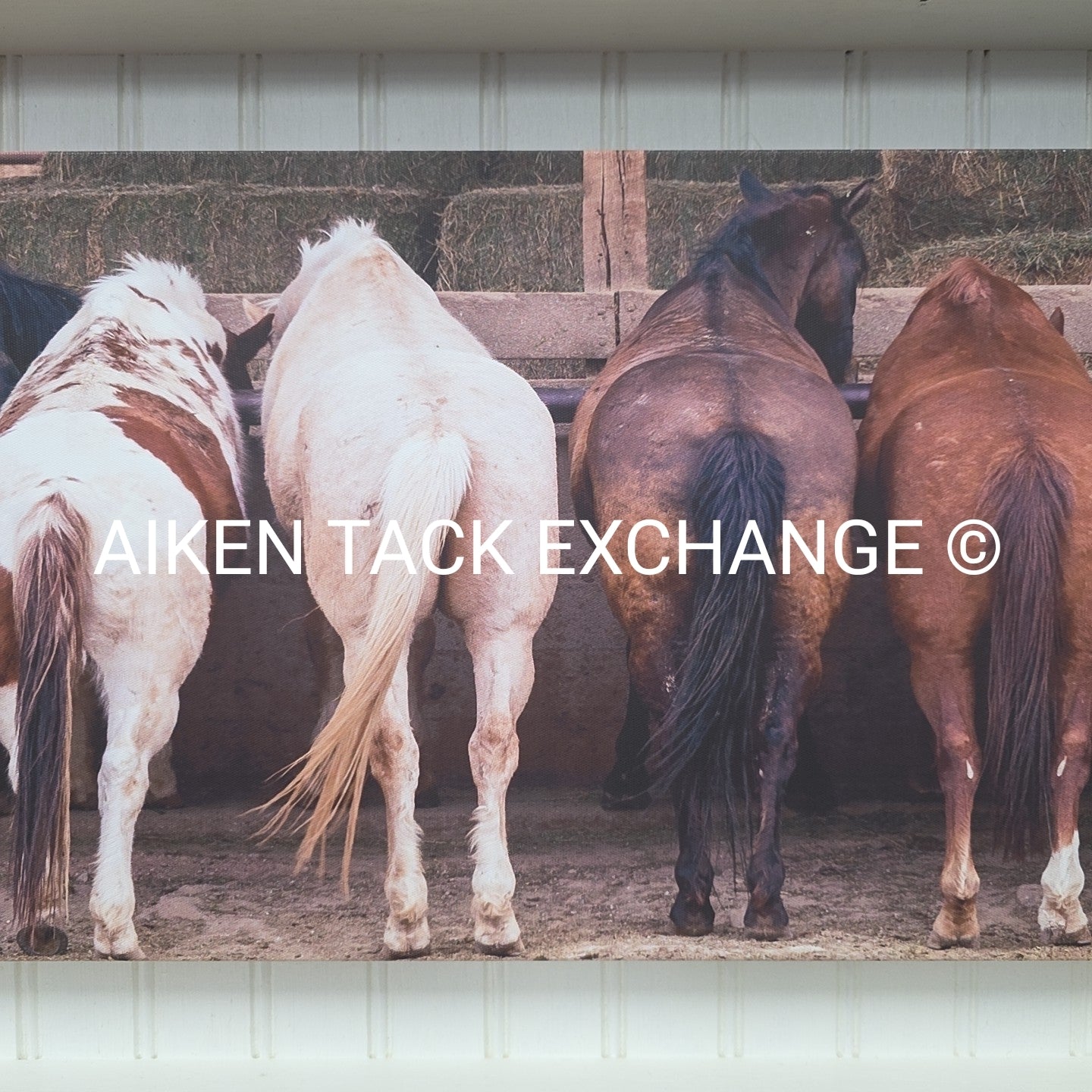 Dinnertime Canvas Decor, 44" x 18"