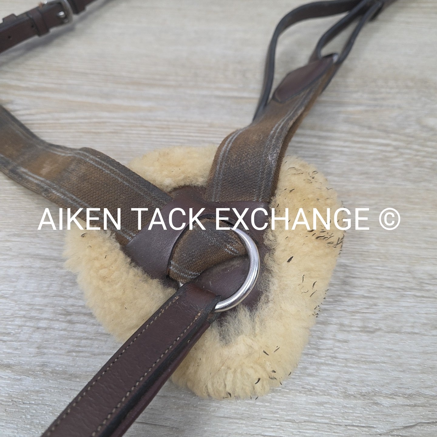 5 Point Breastplate, Brown, Size Cob