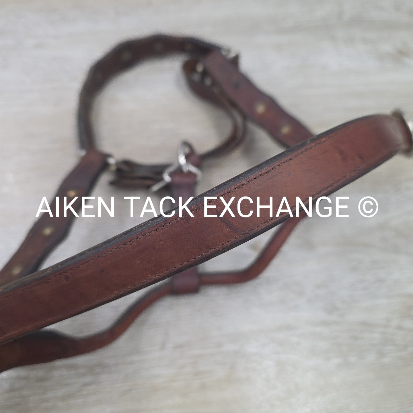 Western Show Halter, Size Full