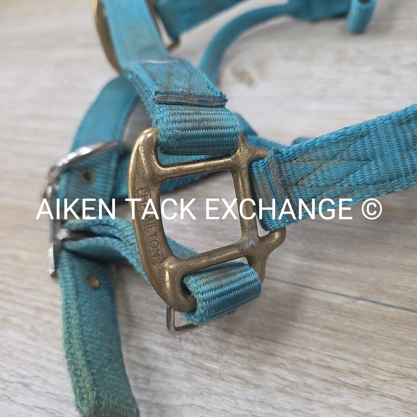 BARGAIN BUNDLE: 3 Nylon Halters, Various Sizes