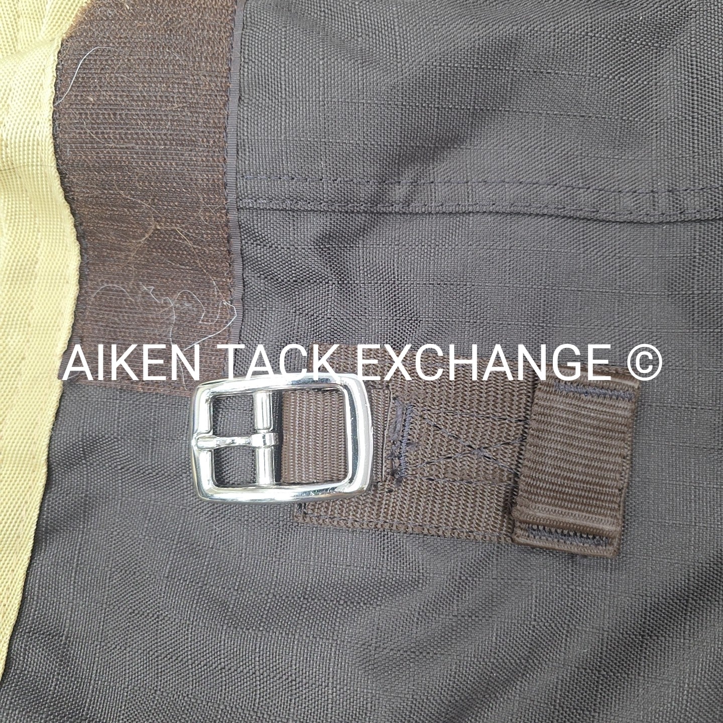 Big D Sussex 240 G Fill Turnout Blanket 80"