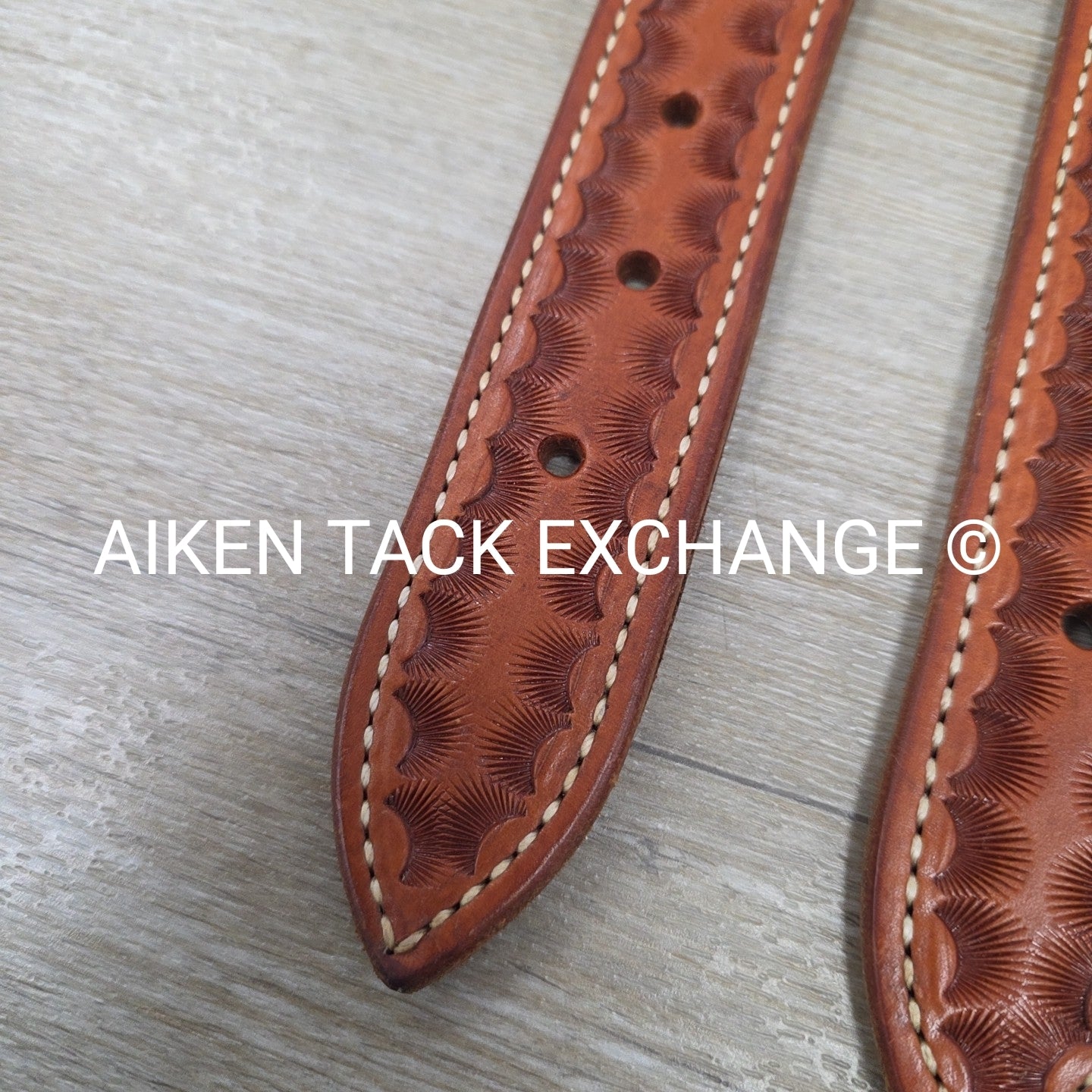 Rear Cinch Billets with Extenders