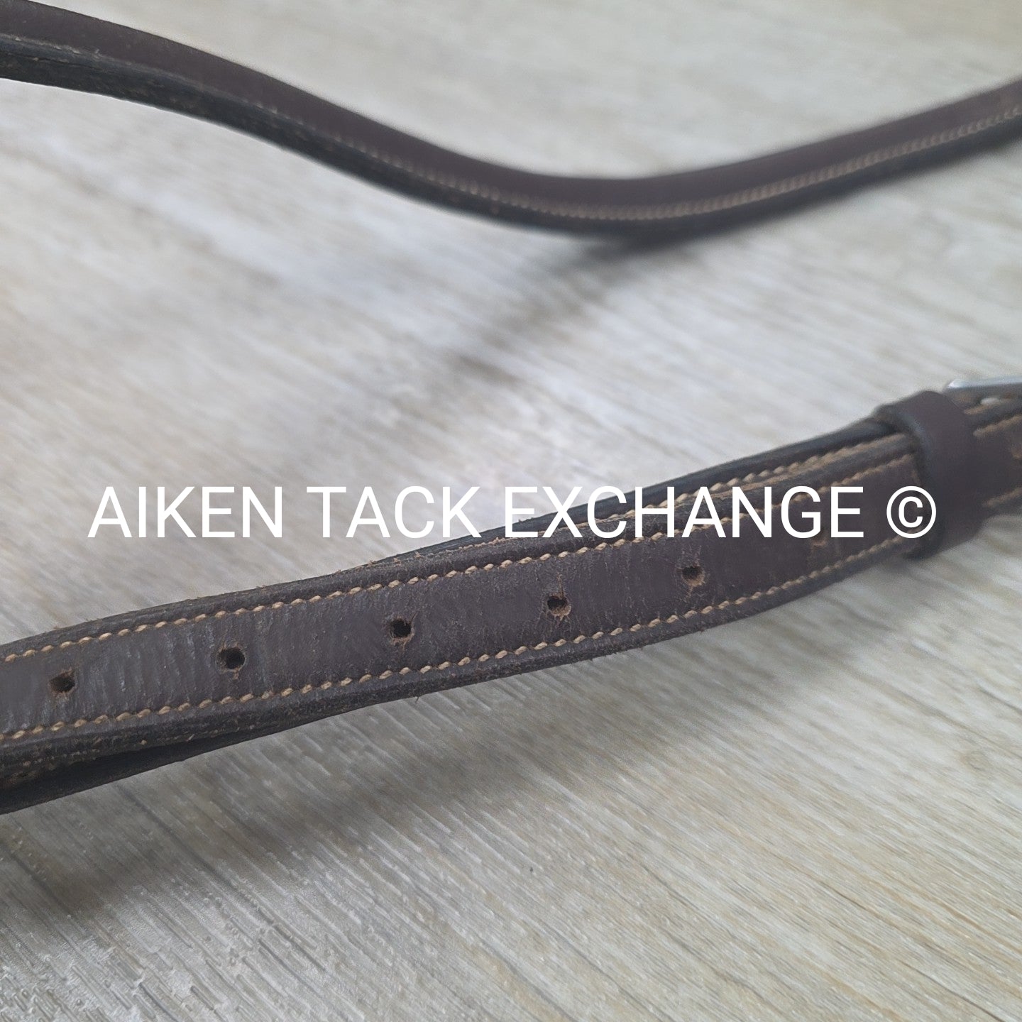 BARGAIN BUNDLE: Fancy Stitched Standing Martigale, Cob & Cotton Web Reins, Full