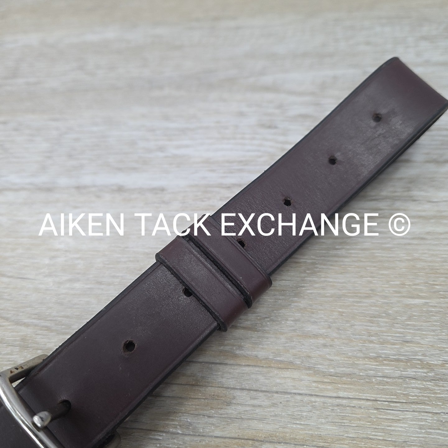 Horse Country First Flight Standing Martingale, Brown, Oversize