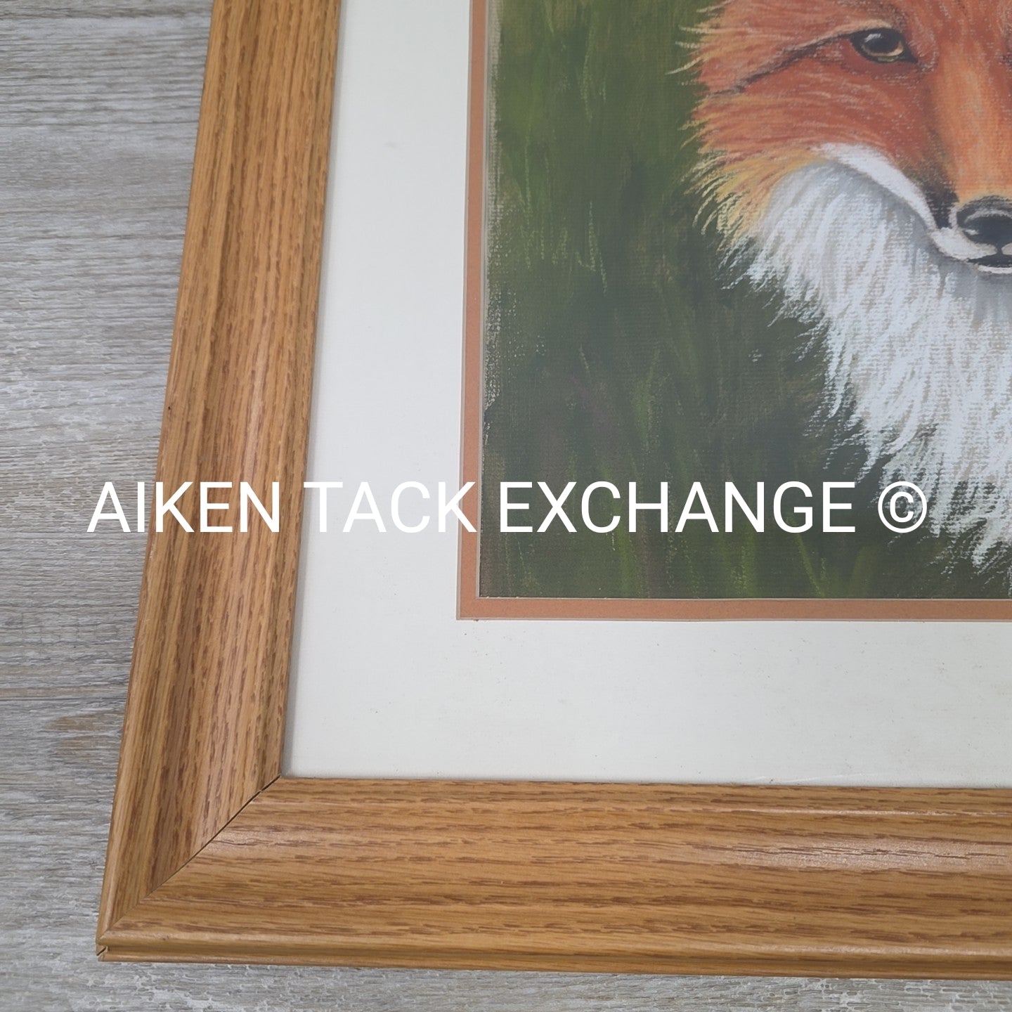 Fox Artwork, 19" x 23.5"