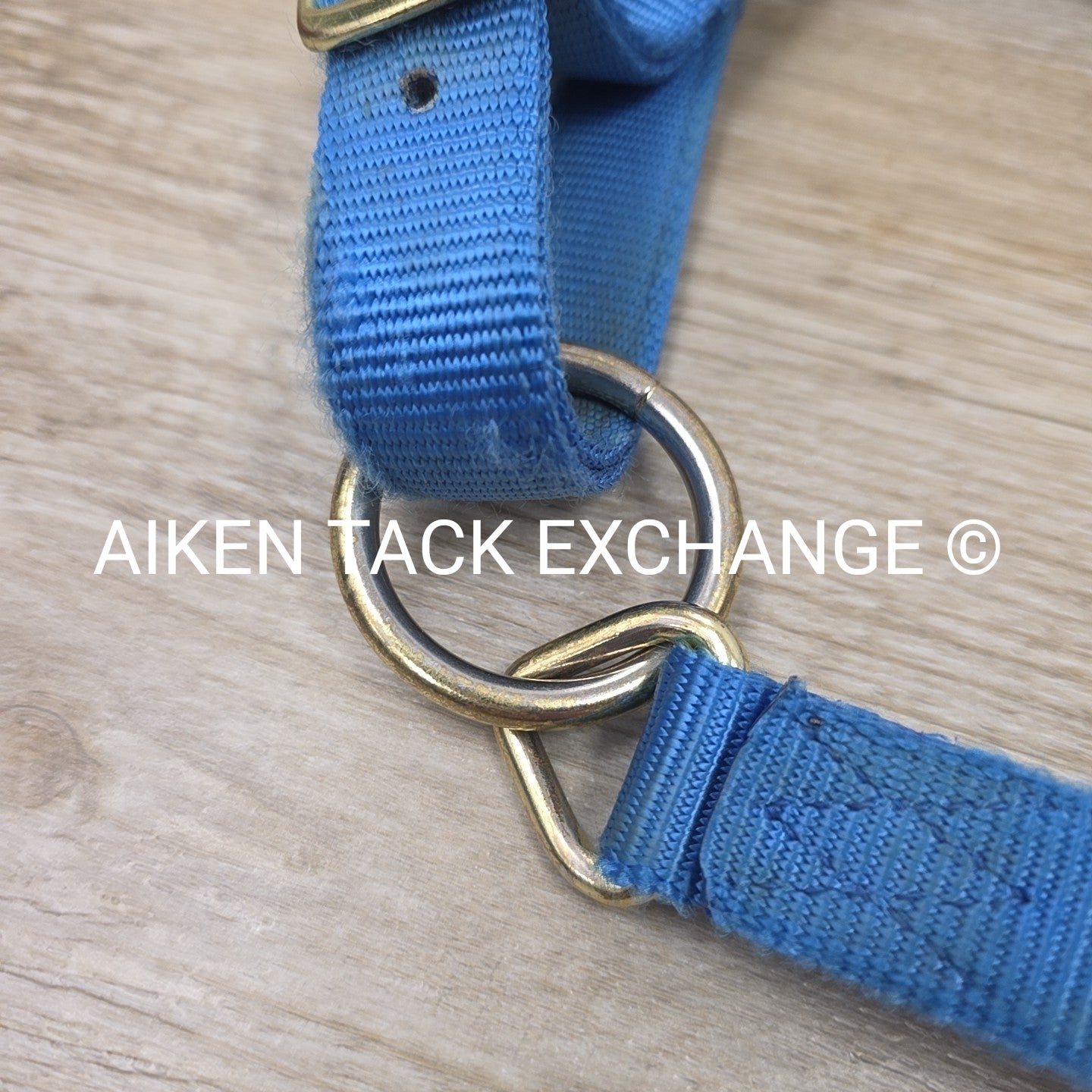 Nylon Breakaway Halter, Size Large