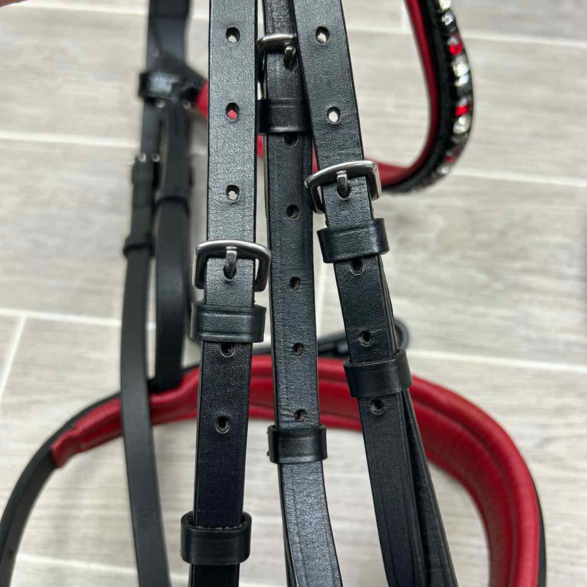 Halter Ego Anatomic Snaffle Bridle with Matching Reins, Black & Red, Size Full
