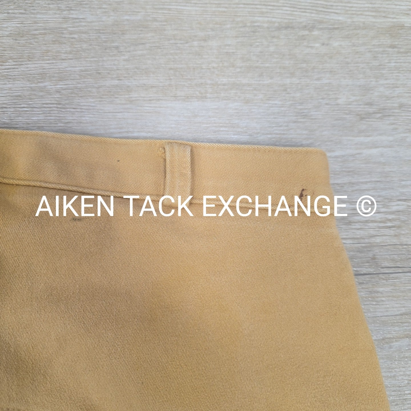 X-Dream by Euro Star Full Seat Breeches, Size 34 L