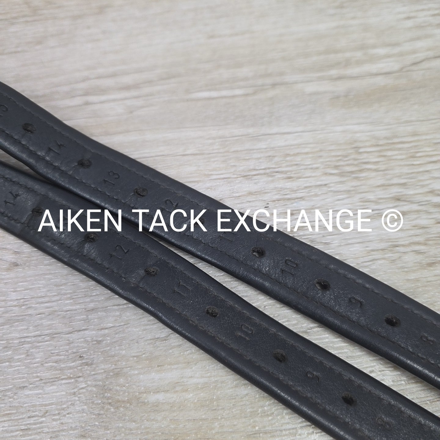 Prestige Nylon Lined Stirrup Leathers, Black, 160cm  / 63"