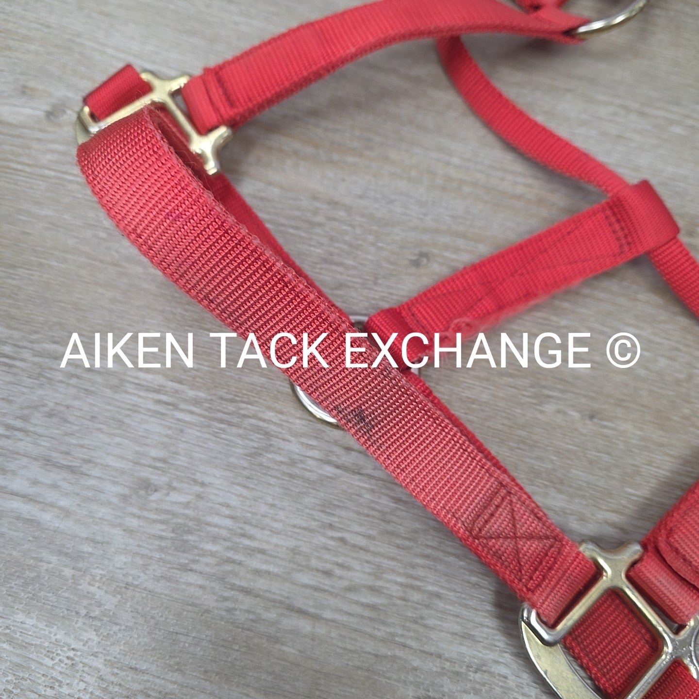 BARGAIN BUNDLE: Nylon Halter, Large, Nylon Halter Missing Crown, Full & Lead Rop