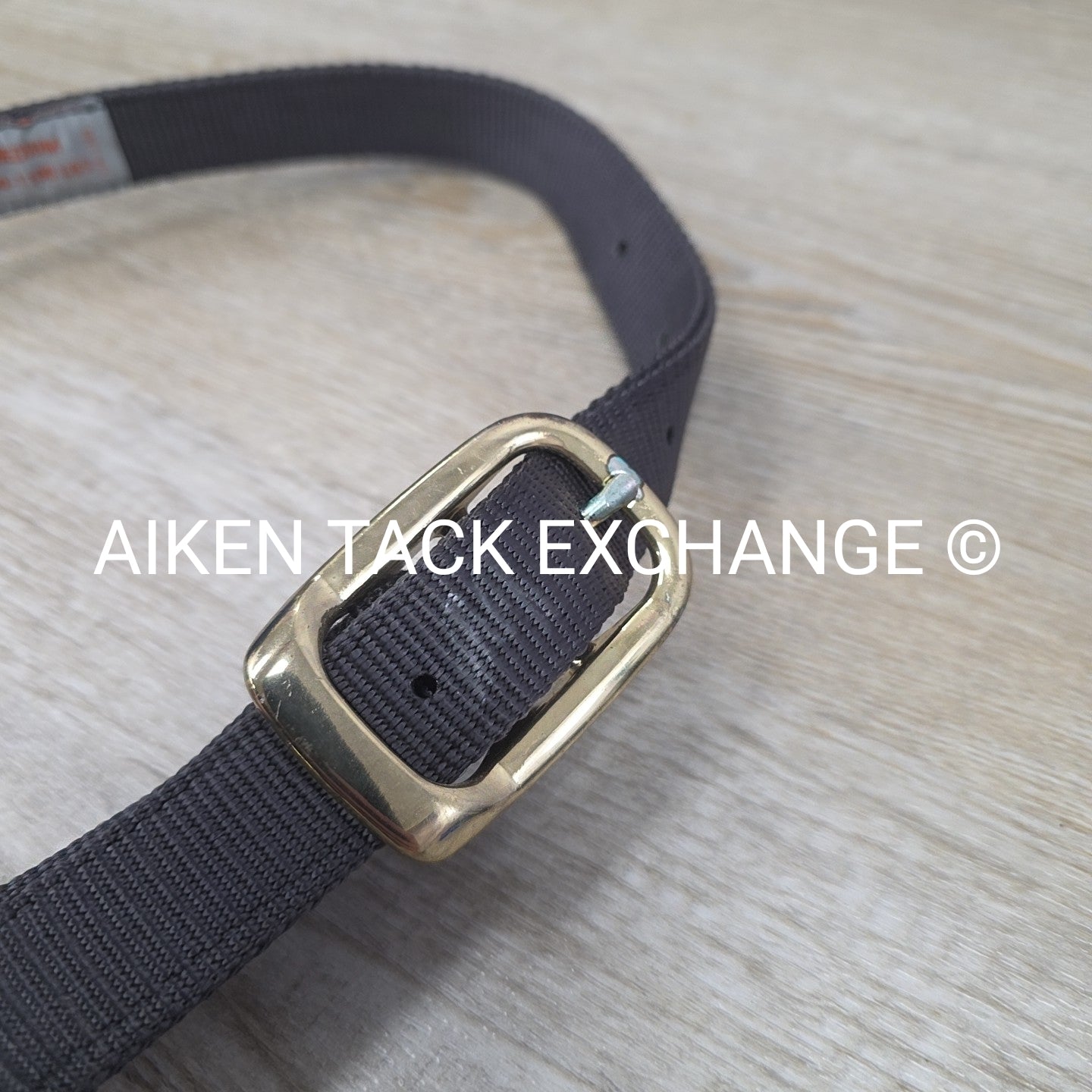 Nylon Halter, Size Medium