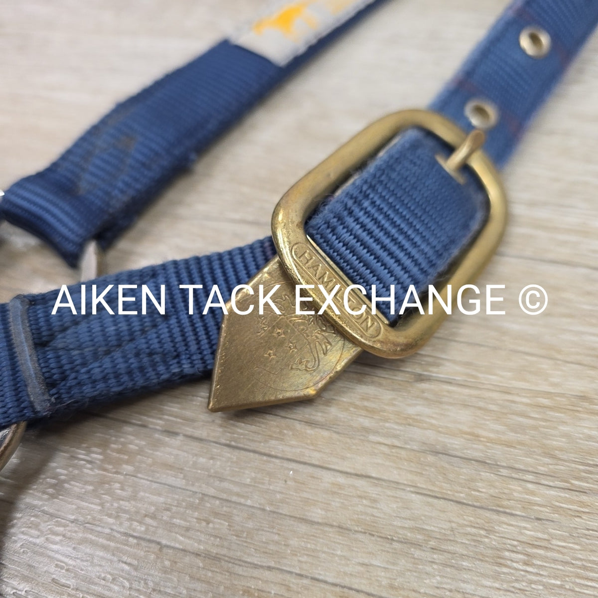 Hamilton Nylon Halter & Lead, Large Horse