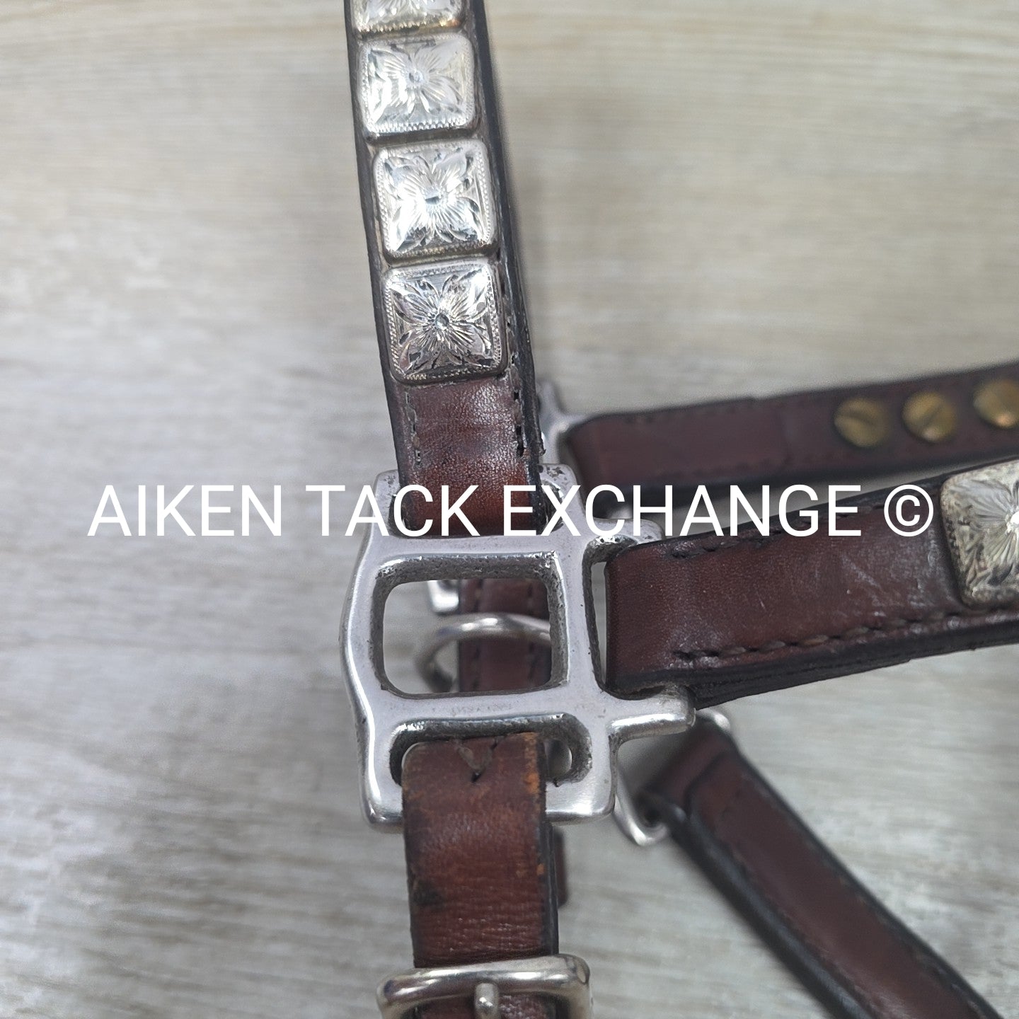 Western Show Halter, Size Foal