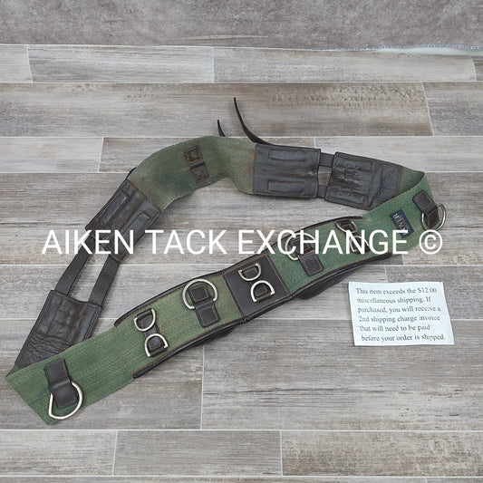 Dover Saddlery Classic Web Lunging Surcingle