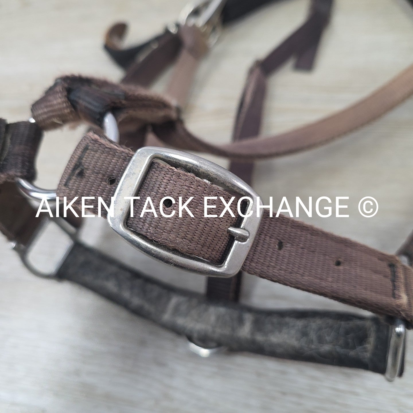 GreenGuard Premium Breakaway Halter, Cob