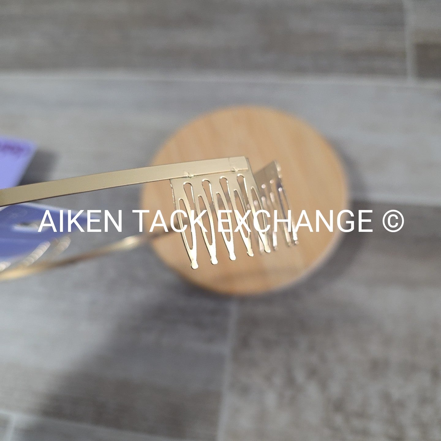 Claire's Tiara + Necklace