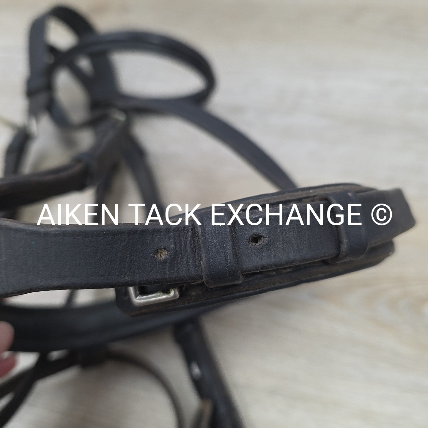 BARGAIN BUNDLE: Otto Schumacher Flash Bridle with Passier Cotton Web Reins, Blac