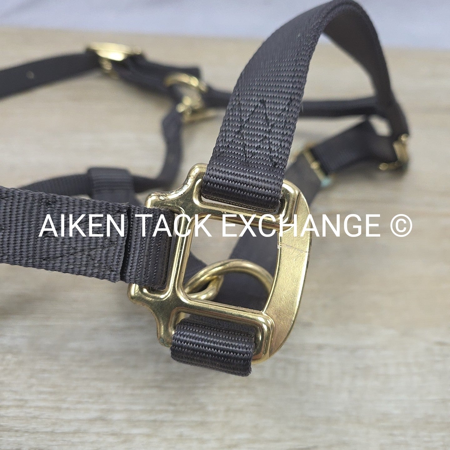 Nylon Halter, Size Medium