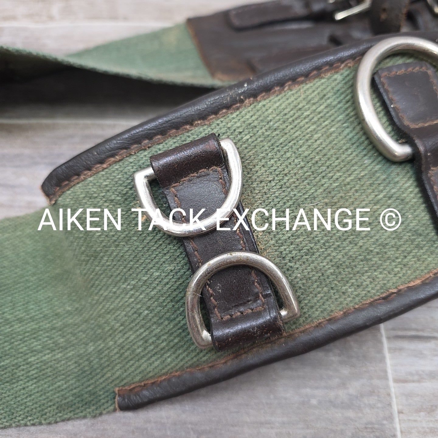 Dover Saddlery Classic Web Lunging Surcingle