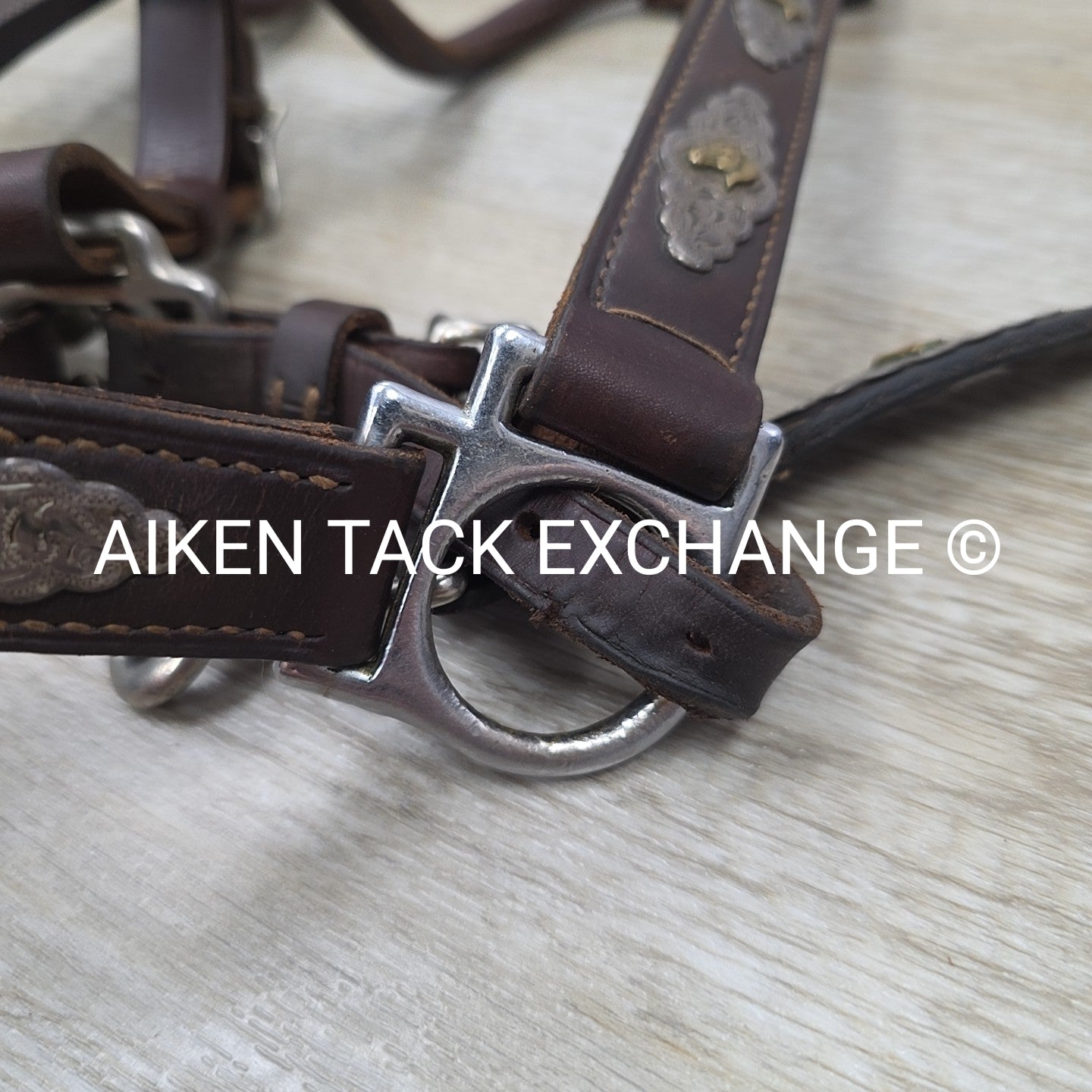 Victor Quality Westen Show Halter with Lead